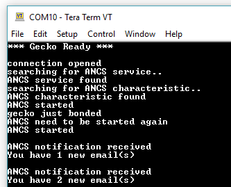 Terminal Output