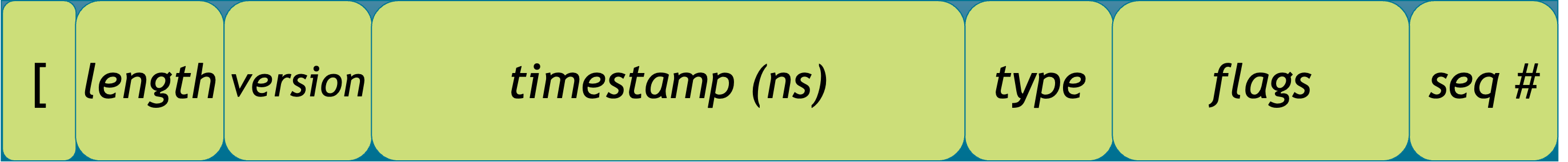 DCH-packet-format