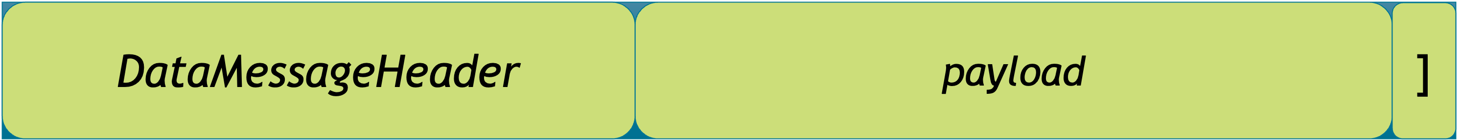 DCH-packet-format