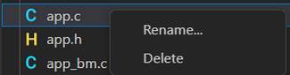 A context menu for a source file with these two options in this order from top to bottom: Rename and Delete