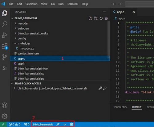 A file selected in the Explorer panel of VS Code and the Build, Flash, and Debug icons highlighted in the toolbar at the bottom left of the screen