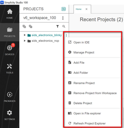 The Context menu for a project on the left panel of the Projects page