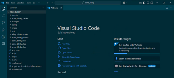 Example of a project open in Visual Studio Code