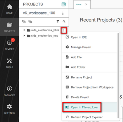 The Open in File Explorer option in the context menu for your project