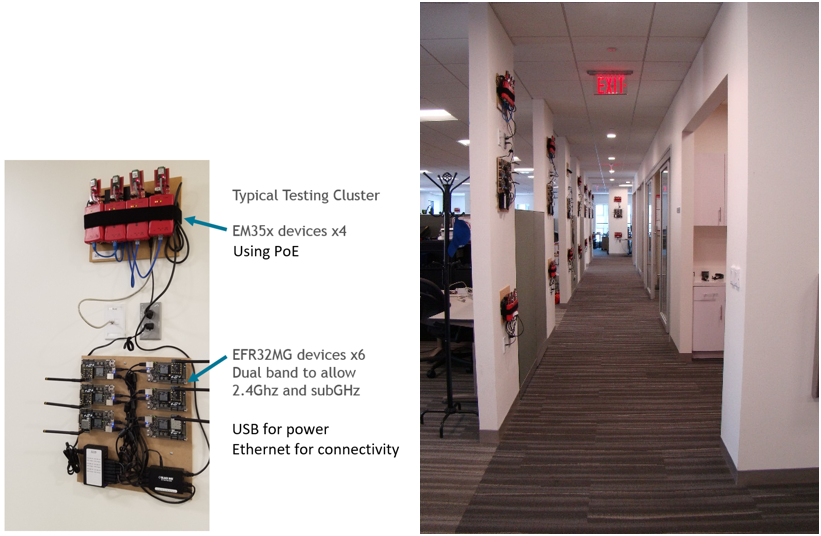 Large Network Test Setup
