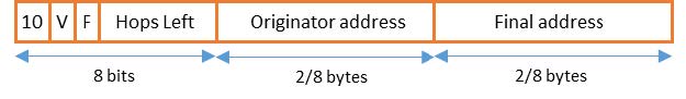 Mesh Header Format