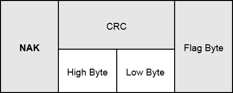 NAK Frame Format