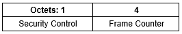 Format of the Auxiliary Security Header