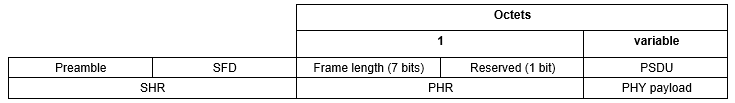 Format of the PPDU