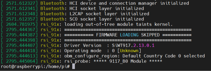 Firmware loading skipped