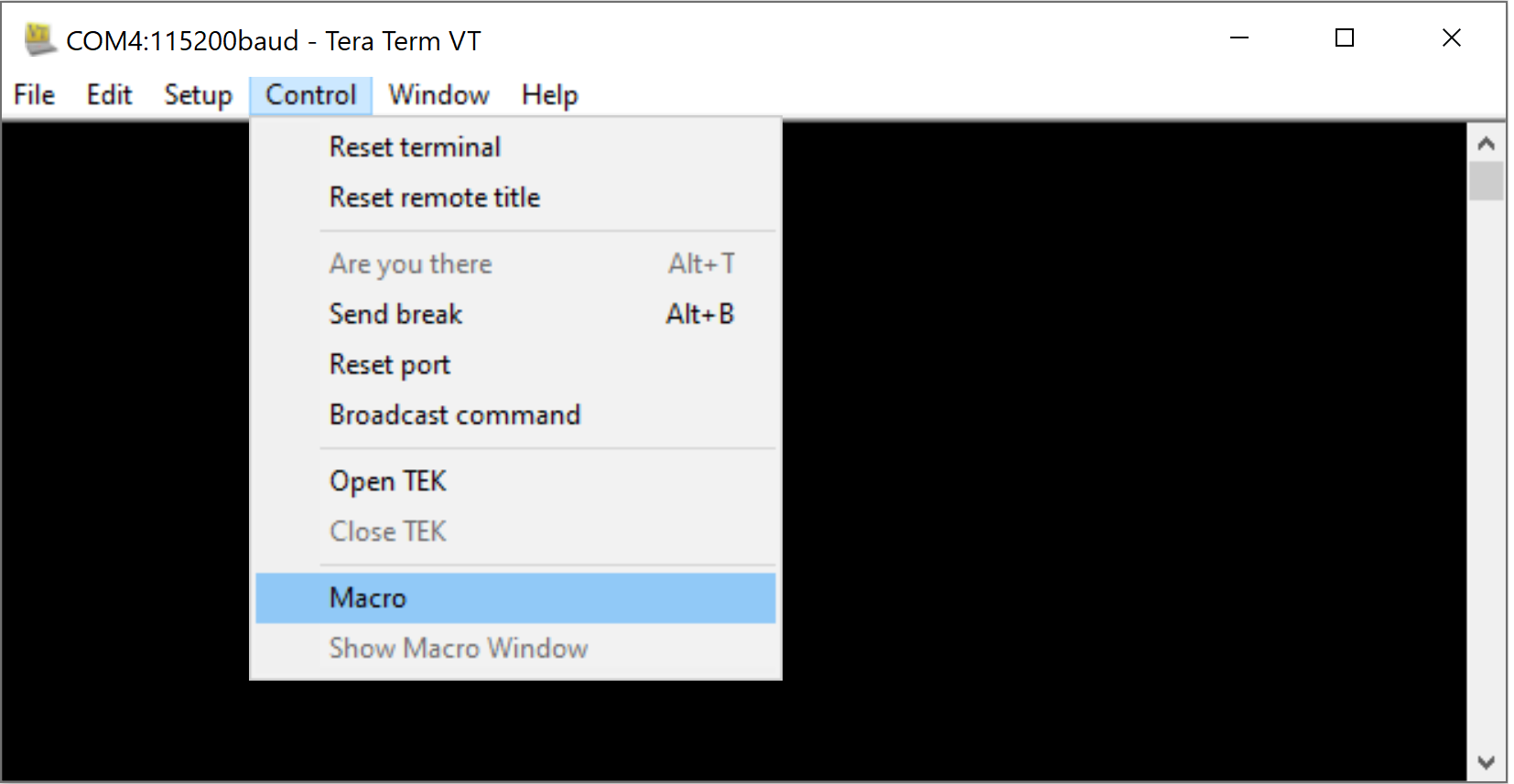 Tera Term Macro