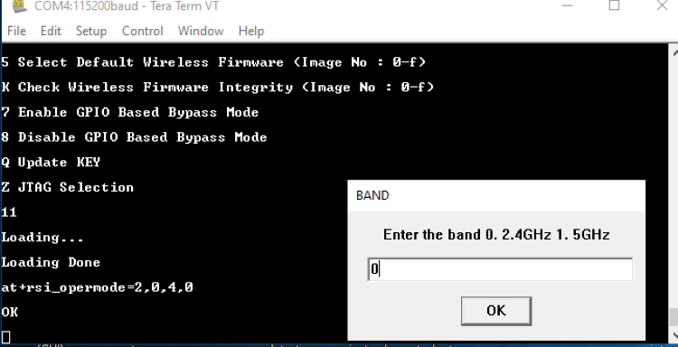 Band Input prompt