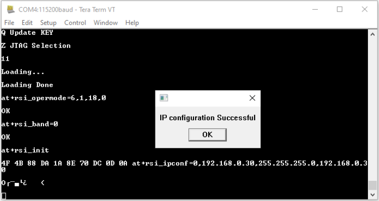 IPConfig command success