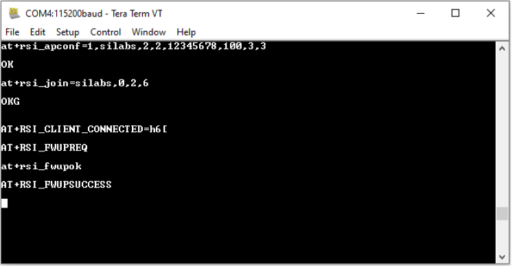 FWUPSUCCESS Tera Term