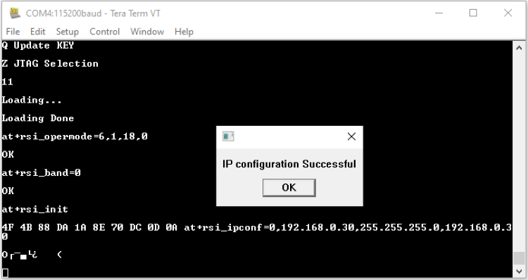 IPConfig Success