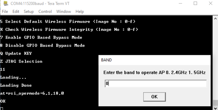 Band input prompt