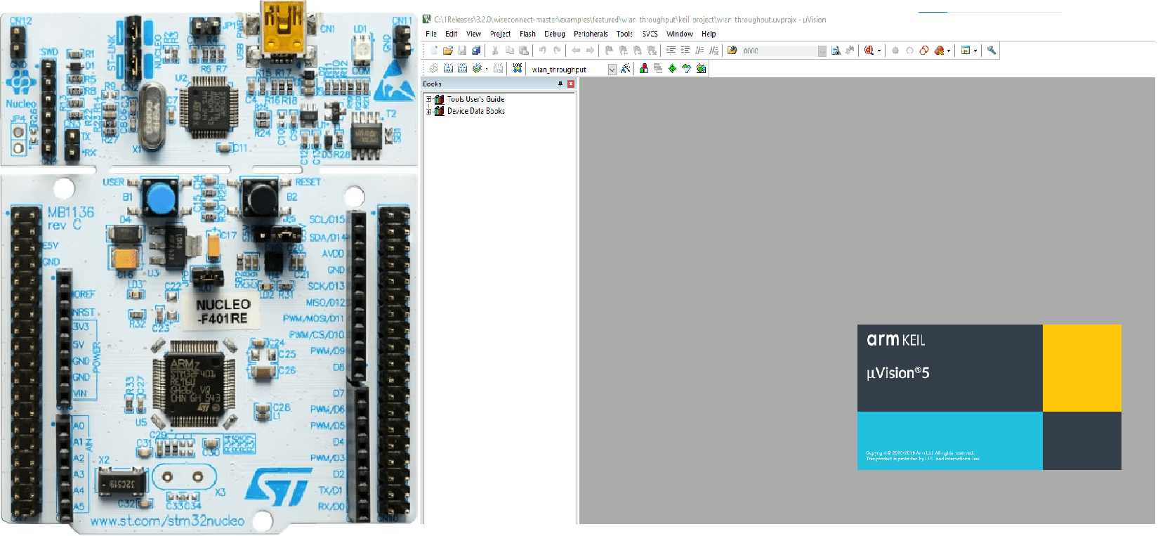 Development Board