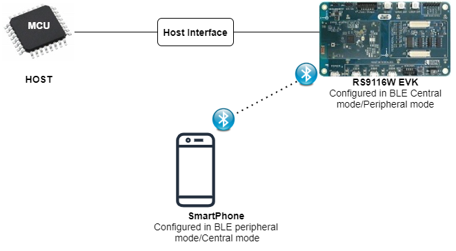 Figure glr: Setup diagram for BLE Long Read Example