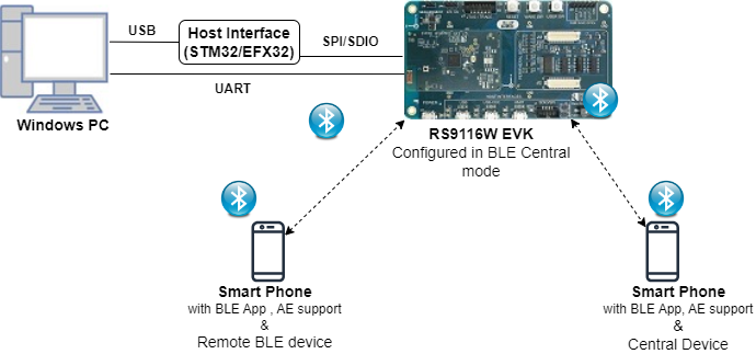 Setup Diagram of Unified AE CoEx Example