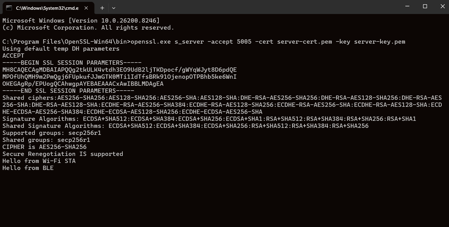 Message on SSL socket Window