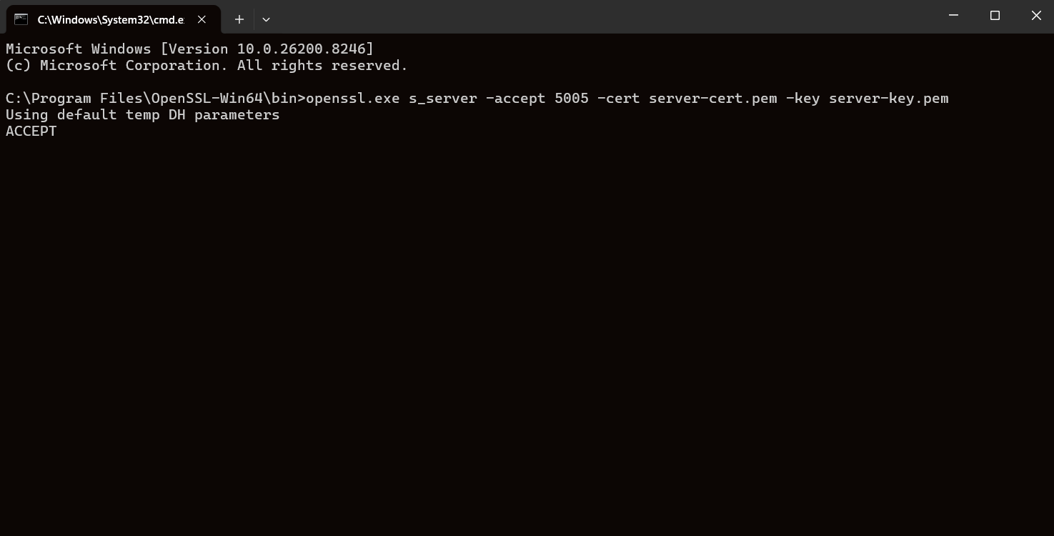 OpenSSL server Window