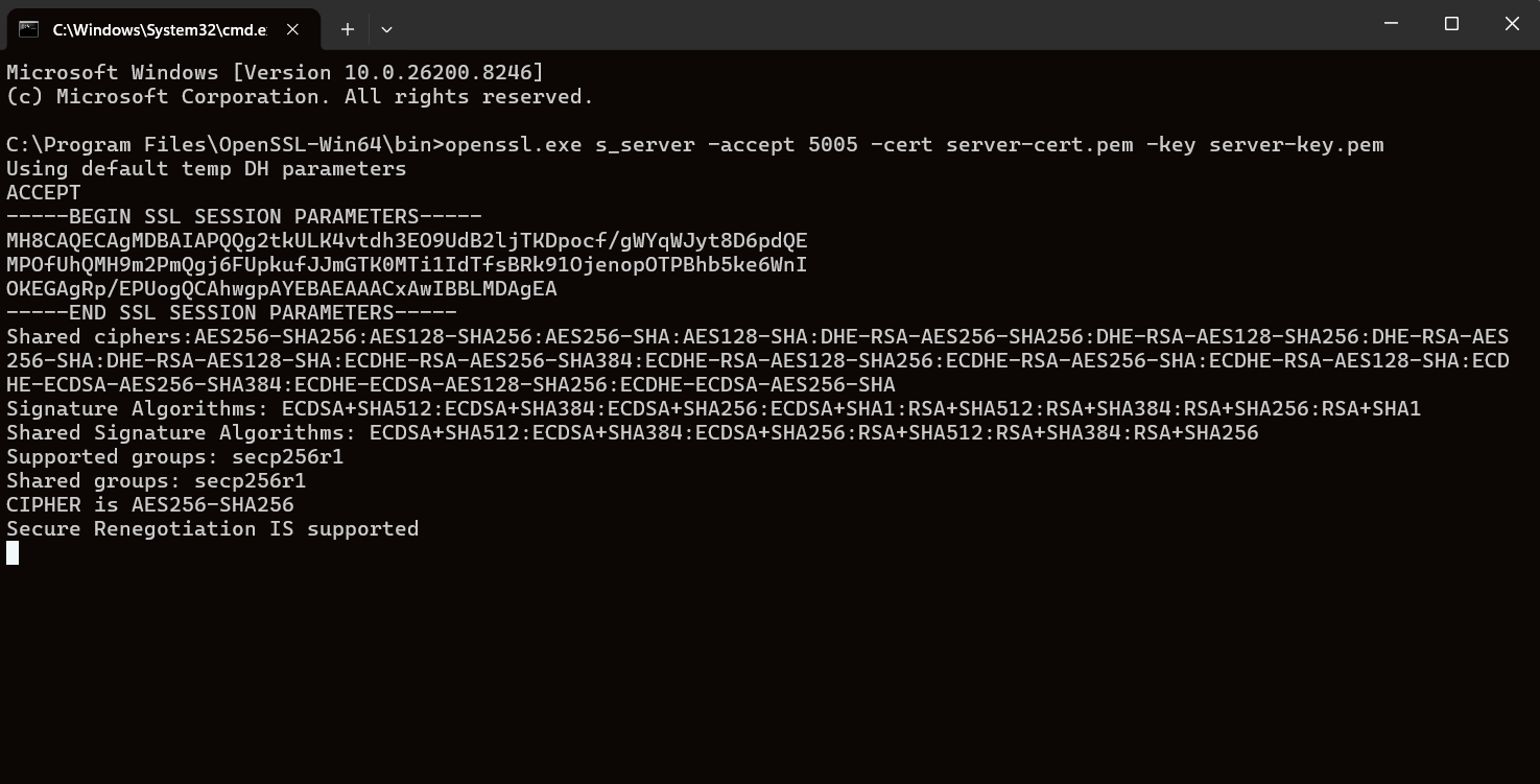 OpenSSL server log Window