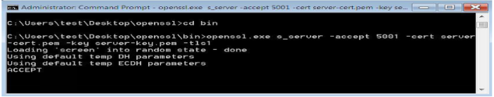 Run the Openssl server