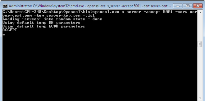OpenSSL server Window