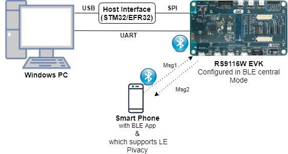 Setup Diagram for Privacy Example