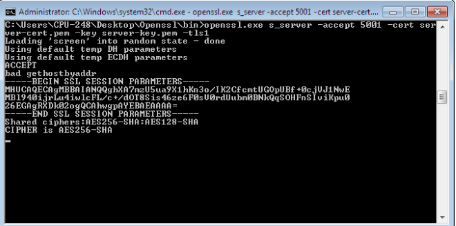 OpenSSL server log Window