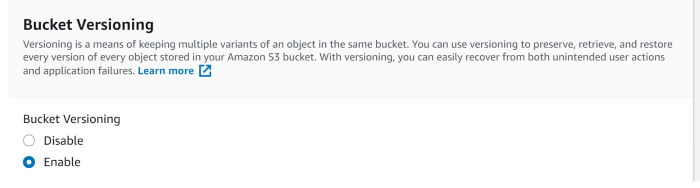 Select Enable to keep all versions in the same bucket