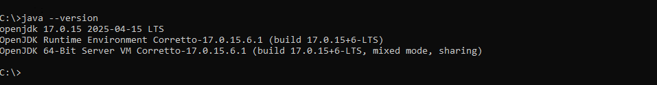 Java Version