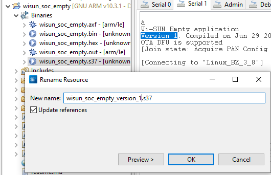 renaming version_1