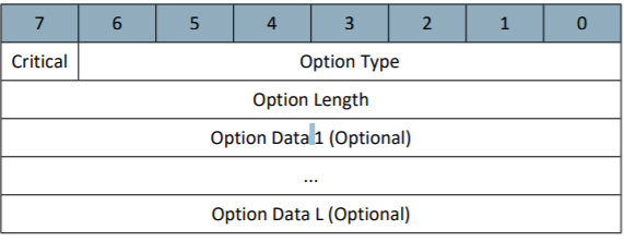 Z/IP Packet Options
